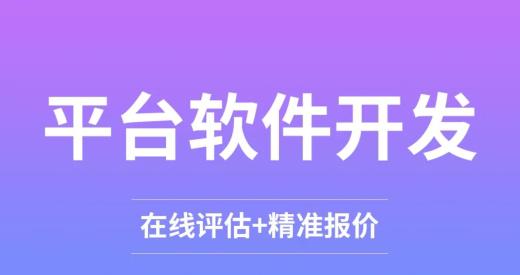 软件定制开发项目分析